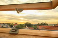 rated Pelynt roof window companies